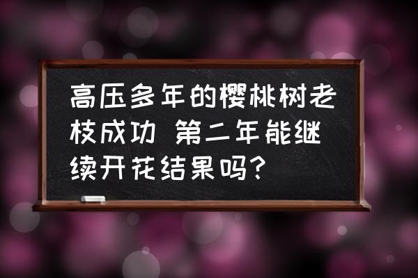 大樱桃当年发新枝会挂果吗 高压多年的樱桃树老枝成功 第二年能继续开花结果吗？