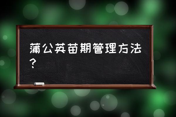 家庭种植蒲公英的方法 蒲公英苗期管理方法？