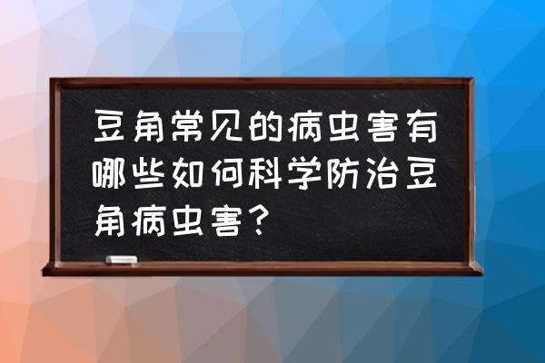 扁豆的病害及防治方法 豆角常见的病虫害有哪些如何科学防治豆角病虫害？