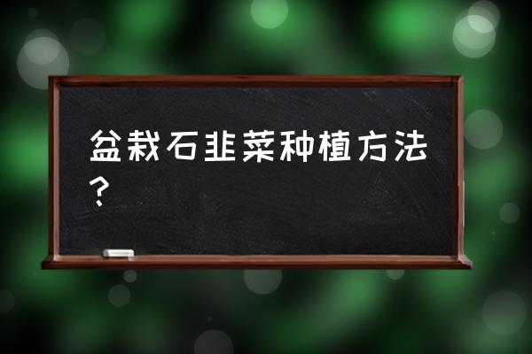 花盆种韭菜怎么种最快 盆栽石韭菜种植方法？