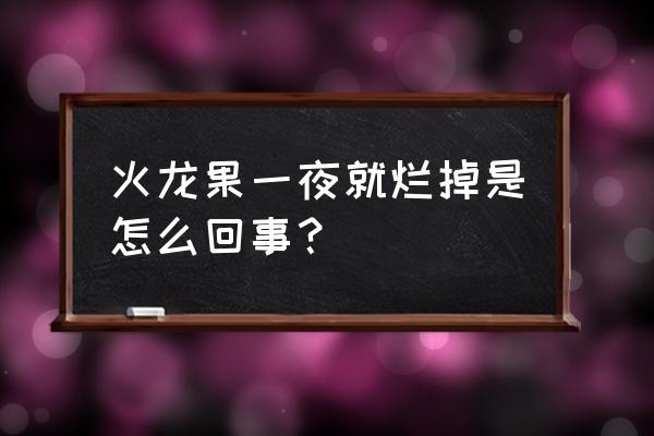 火龙果冻伤了没烂能恢复好吗 火龙果一夜就烂掉是怎么回事？