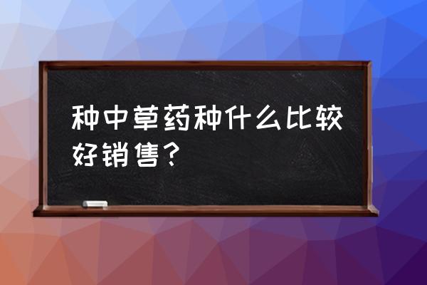 种植覆盆子销路 种中草药种什么比较好销售？