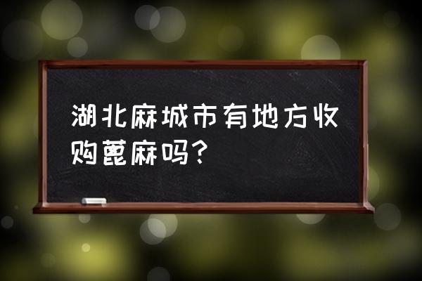 蓖麻子或蓖麻油中毒该怎么办 湖北麻城市有地方收购蓖麻吗？