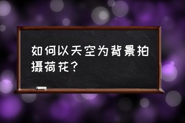 灵动岛闪灯怎么设置 如何以天空为背景拍摄荷花？