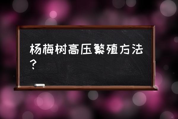 杨梅树几年苗移栽最好 杨梅树高压繁殖方法？