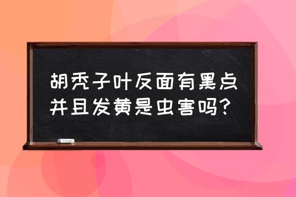 胡秃子什么时候修剪好 胡秃子叶反面有黑点并且发黄是虫害吗？