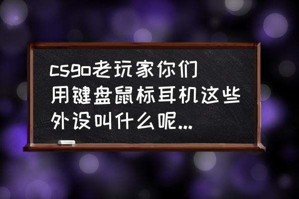 HyperX电竞鼠标 csgo老玩家你们用键盘鼠标耳机这些外设叫什么呢详细一点的？