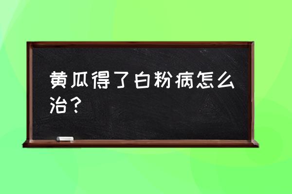 缺氧开局怎么造牧场 黄瓜得了白粉病怎么治？