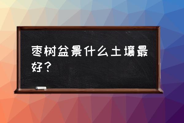 盆栽枣树什么时候种最好 枣树盆景什么土壤最好？