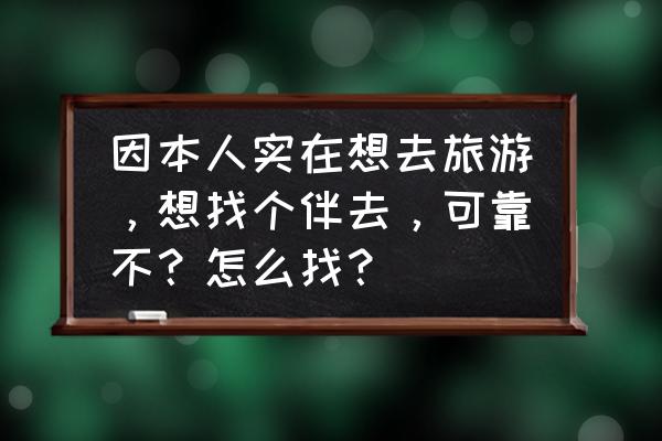 旅游app开发平台 因本人实在想去旅游，想找个伴去，可靠不？怎么找？