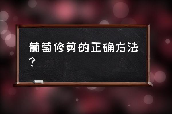 大棚葡萄高压枝怎么修剪 葡萄修剪的正确方法？