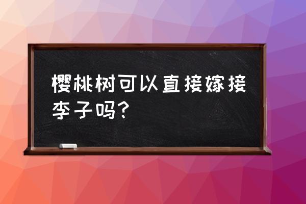 李树最佳嫁接时间 樱桃树可以直接嫁接李子吗？