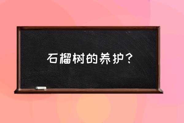 怎么养好石榴树 石榴树的养护？