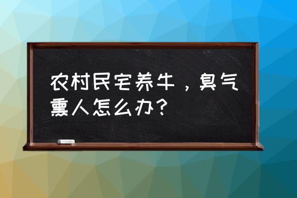 在家怎么养牛最好 农村民宅养牛，臭气熏人怎么办？