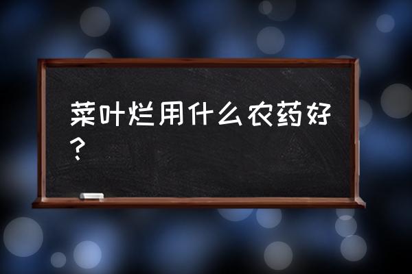 青菜有虫子用什么农药比较好 菜叶烂用什么农药好？