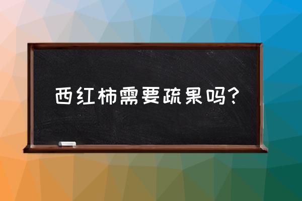 圣女果要不要打叉 西红柿需要疏果吗？