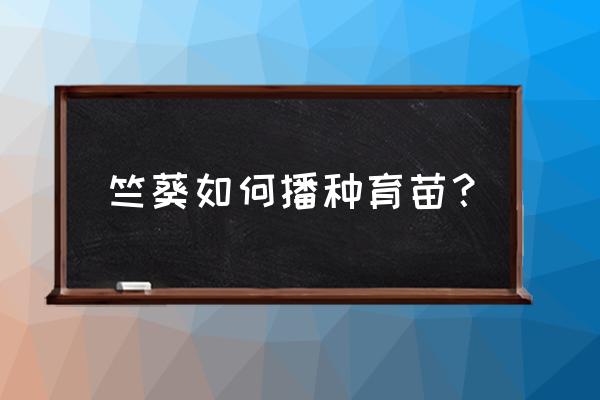 孔雀草种子怎么种 竺葵如何播种育苗？