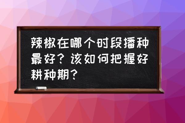 辣椒的种植最佳时间和方法 辣椒在哪个时段播种最好？该如何把握好耕种期？