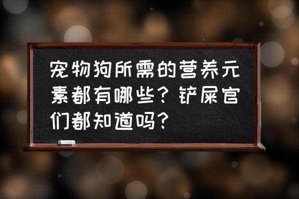 动物营养学基础知识 宠物狗所需的营养元素都有哪些？铲屎官们都知道吗？