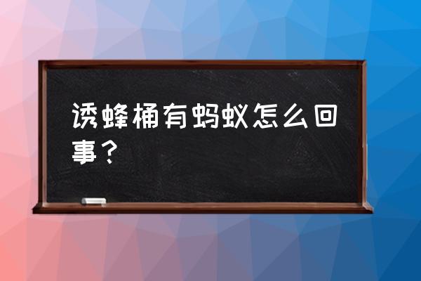 蜜蜂箱有蚂蚁怎么防治 诱蜂桶有蚂蚁怎么回事？