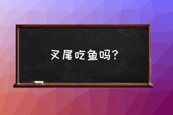 叉尾鱼最佳饲养方法 叉尾吃鱼吗？