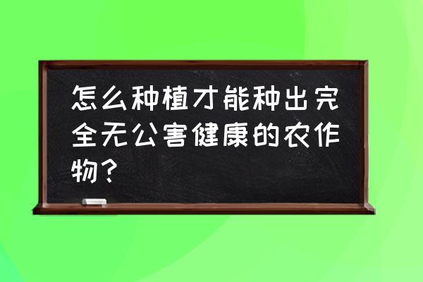 怎么自己种的韭菜最好 怎么种植才能种出完全无公害健康的农作物？