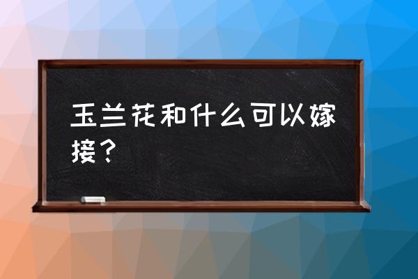 红花玉兰树能嫁接吗 玉兰花和什么可以嫁接？