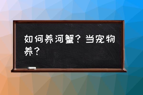 养小河蟹的正确方法 如何养河蟹？当宠物养？