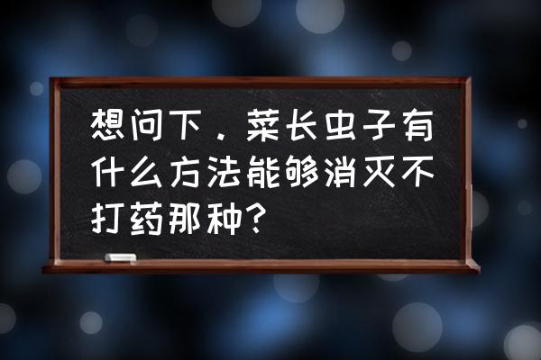 做虫子的方法简单又好看 想问下。菜长虫子有什么方法能够消灭不打药那种？