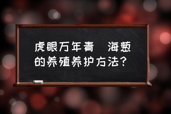 虎眼万年青能养几年才开花 虎眼万年青(海葱)的养殖养护方法？