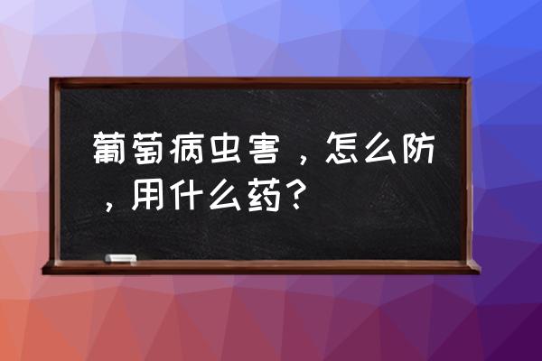 葡萄黑痘病防治用什么农药 葡萄病虫害，怎么防，用什么药？