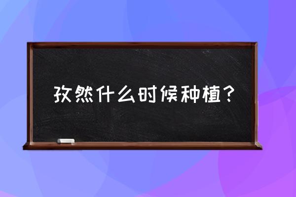 胡麻种植时间和方法 孜然什么时候种植？