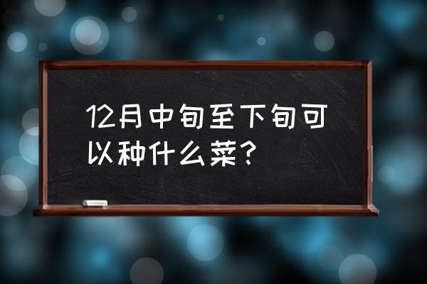 八月下旬种啥蔬菜 12月中旬至下旬可以种什么菜？