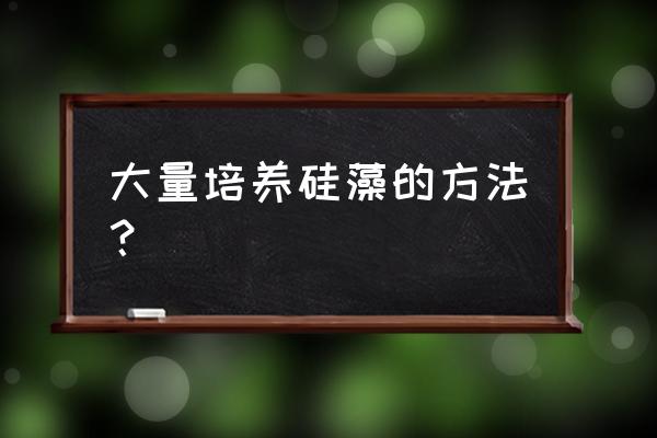 硅藻类培养方法和技巧 大量培养硅藻的方法？