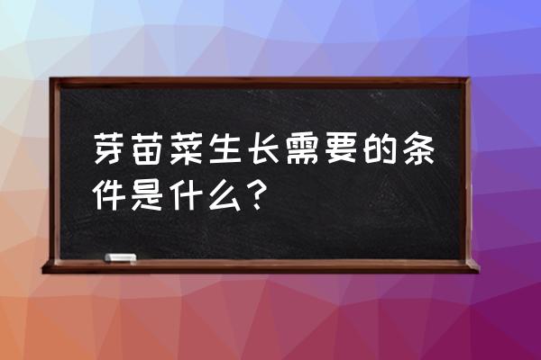 简述种子萌发的过程及幼苗类型 芽苗菜生长需要的条件是什么？