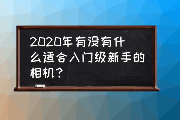 初学摄影什么牌子的单反相机最好 2020年有没有什么适合入门级新手的相机？