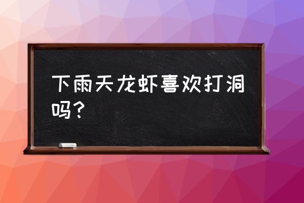 龙虾需不需要露出水面呼吸 下雨天龙虾喜欢打洞吗？