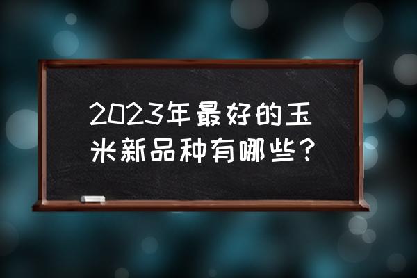 2023年最好玉米种子 2023年最好的玉米新品种有哪些？