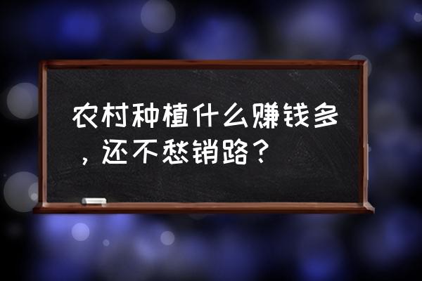 农村荒山种植什么不愁销路 农村种植什么赚钱多，还不愁销路？