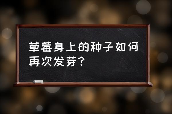 草莓籽发芽种植方法全过程 草莓身上的种子如何再次发芽？