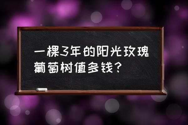 树葡萄苗6到7年价格多少一棵 一棵3年的阳光玫瑰葡萄树值多钱？