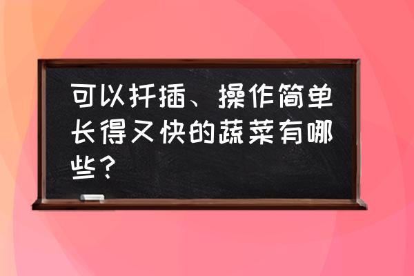 种茄子用什么方法让它长得最快 可以扦插、操作简单长得又快的蔬菜有哪些？