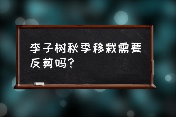 李子树10月份可以修枝吗 李子树秋季移栽需要反剪吗？