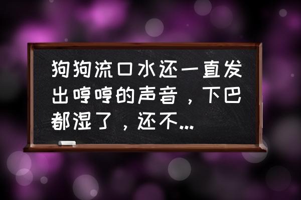 狗不吃饭流口水没精神不振怎么治 狗狗流口水还一直发出哼哼的声音，下巴都湿了，还不喝水不吃东西，这两天都是这样，怎么办啊？