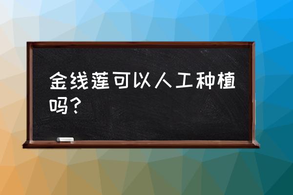 小金线莲的种植技术与方法 金线莲可以人工种植吗？