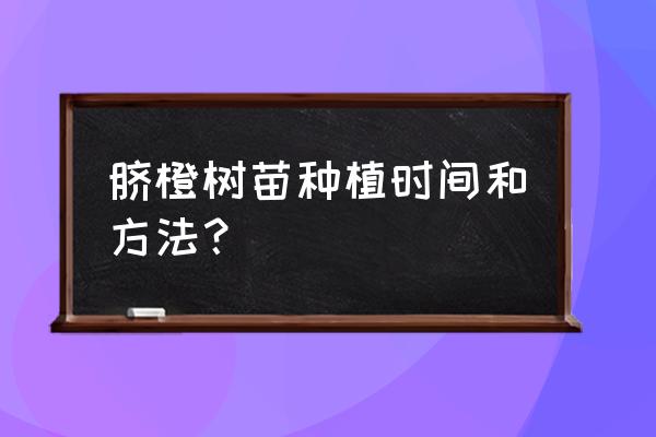 橙子最好在什么季节种植 脐橙树苗种植时间和方法？