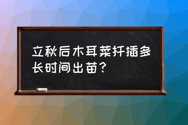 种木耳菜的正确方法 立秋后木耳菜扦插多长时间出苗？