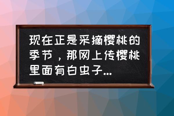 浆果的虫子怎么去除 现在正是采摘樱桃的季节，那网上传樱桃里面有白虫子是真的吗？