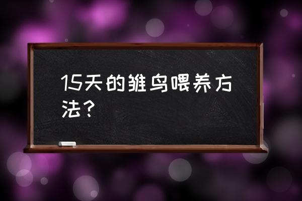 育雏的正确方法和技巧 15天的雏鸟喂养方法？