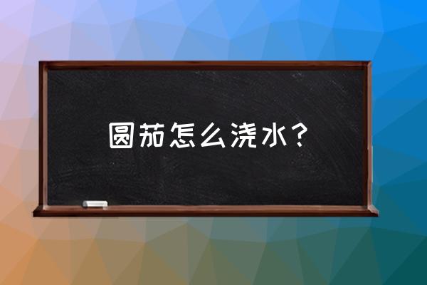 大棚圆茄从小到大的管理技术 圆茄怎么浇水? 大棚圆茄从小到大的管理技术 圆茄怎么浇水?